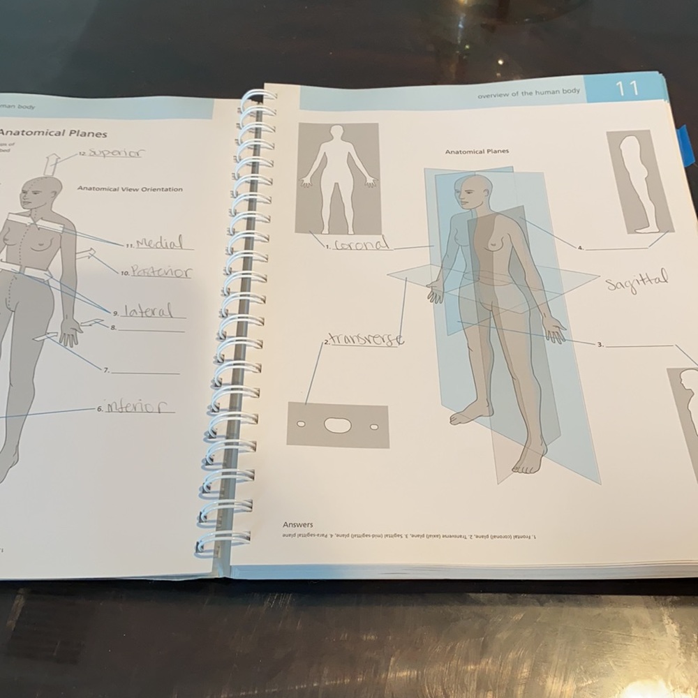 Anatomy practice book - Picture 6 of 13